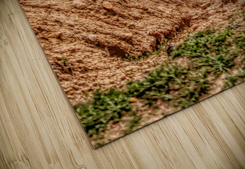 Camp Hero Hoodoos Karen Silvestri puzzle