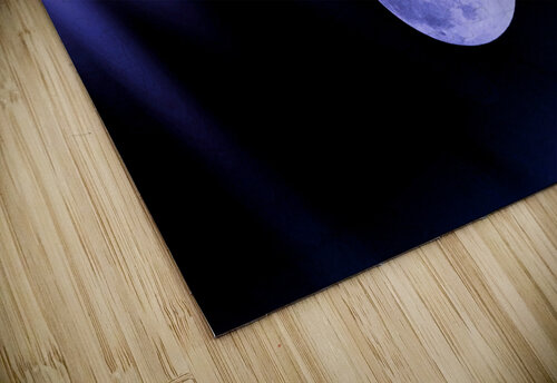 Blue Rays On The Moon Karen Silvestri puzzle