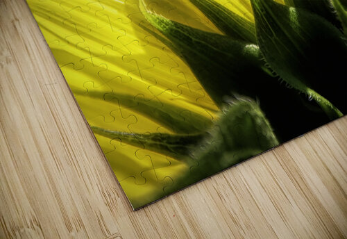 Beauty On The Back Karen Silvestri puzzle