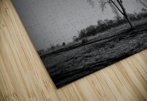 Alone In A Meadow Karen Silvestri puzzle