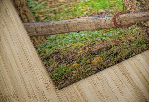 Horseshoe Fence Karen Silvestri puzzle