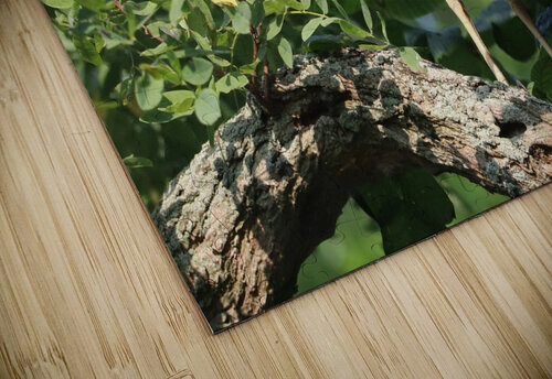 I Thought I Could Hide Karen Silvestri puzzle