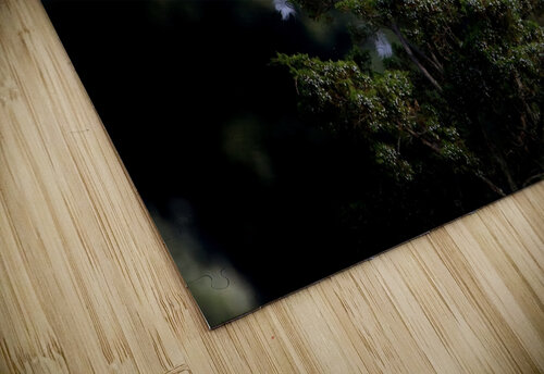 The Lookout Karen Silvestri puzzle