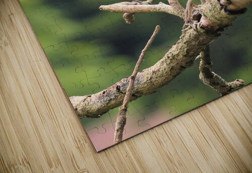 Studious Yellow Crown Karen Silvestri puzzle