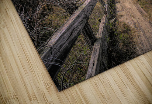 Path Along The Sound Karen Silvestri puzzle