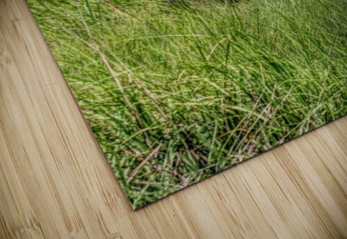 Awesome Landing Karen Silvestri puzzle