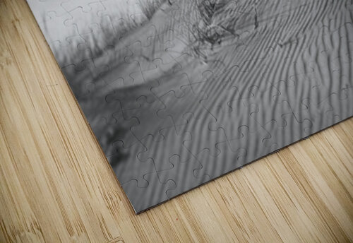 The Dunes In Black and White Karen Silvestri puzzle