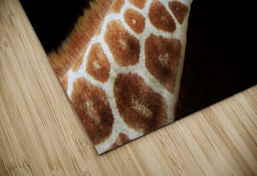 Ollie Giraffe Karen Silvestri puzzle