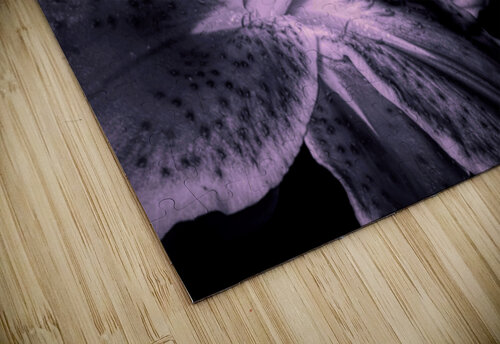 Black And White Stargazer Lily  Karen Silvestri puzzle