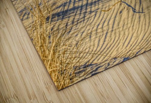 Golden Light On The Dune Karen Silvestri puzzle