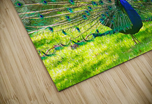 Brilliant Peacock Karen Silvestri puzzle