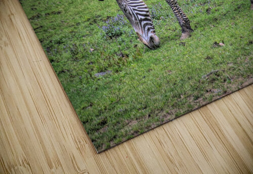 Sleeping While Standing Karen Silvestri puzzle