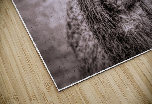 A Is For Alpaca Karen Silvestri puzzle