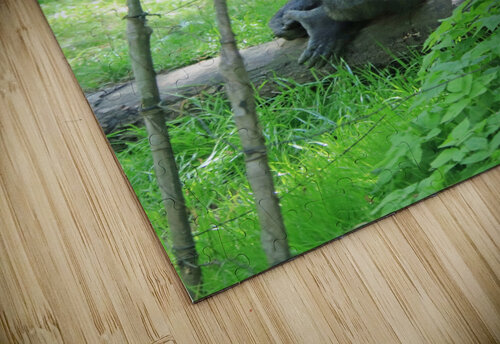  Western Lowland Gorilla Karen Silvestri puzzle