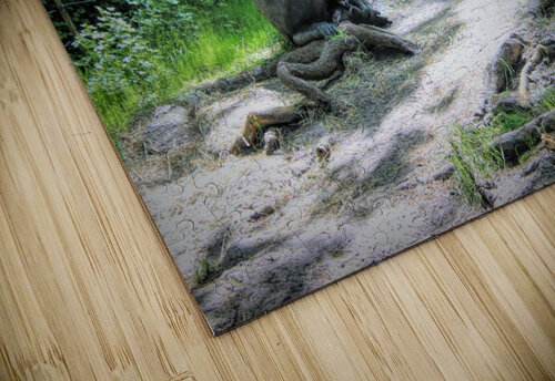 Monkeying Around Karen Silvestri puzzle