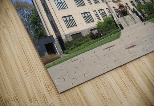 Olmsted Hall Karen Silvestri puzzle