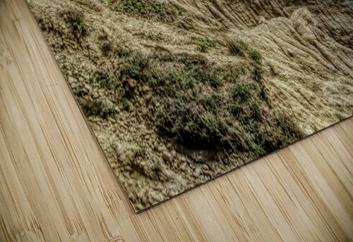 Erosion Along The Atlantic Karen Silvestri puzzle