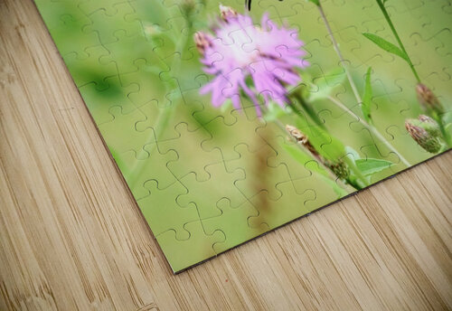 Swallowtail On Wild Flowers Karen Silvestri puzzle