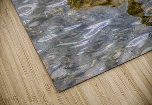 Cygnet On The Pond Karen Silvestri puzzle