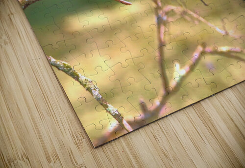 Eastern King Bird Enjoying The Day Karen Silvestri puzzle