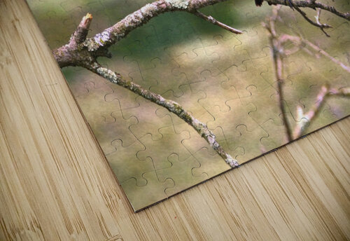 Peaceful Eastern King Bird Karen Silvestri puzzle