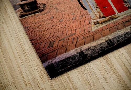 Atlantic White Flash Karen Silvestri puzzle