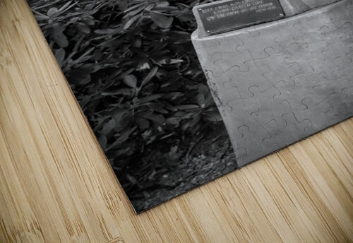 Safe In His Hands Karen Silvestri puzzle