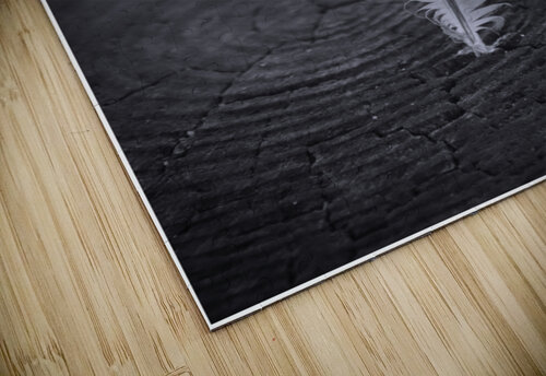 Black and White Feather Karen Silvestri puzzle