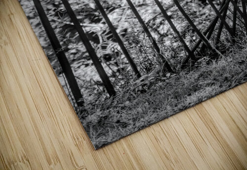 Iron Fence Karen Silvestri puzzle