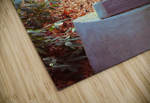 In The Safety Of His Hand Karen Silvestri puzzle