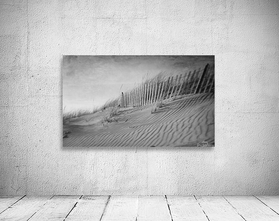 The Dunes In Black and White Wall Preview
