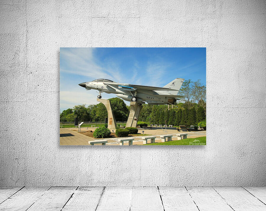 F-14 Tomcat Wall Preview