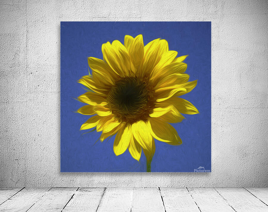 Sunflower And The Sky Wall Preview