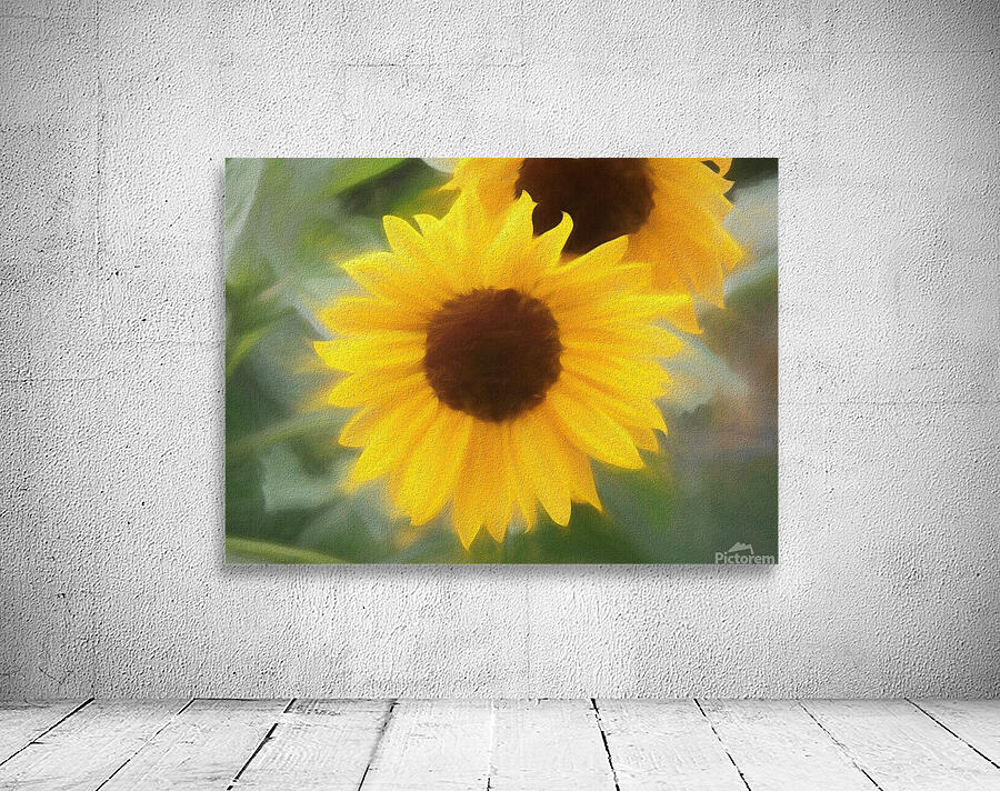 Sunflower In Chalk Wall Preview