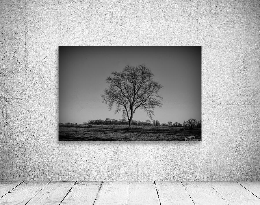 Alone In A Meadow Wall Preview