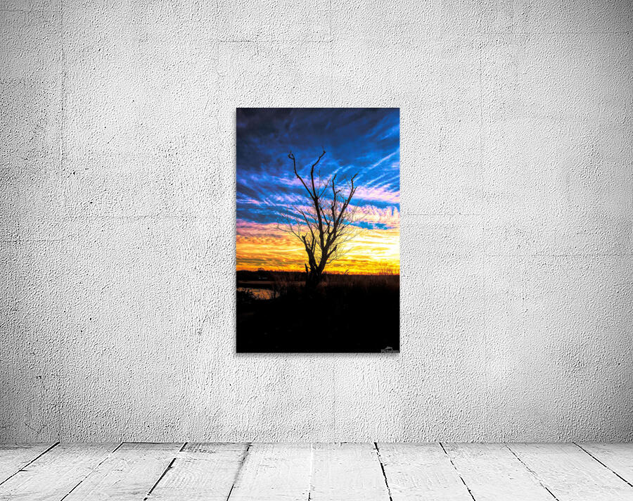 A Sunset Snag Wall Preview