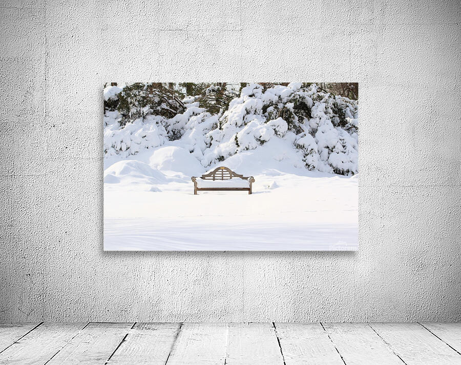 Snow Dwarfed Bench Wall Preview