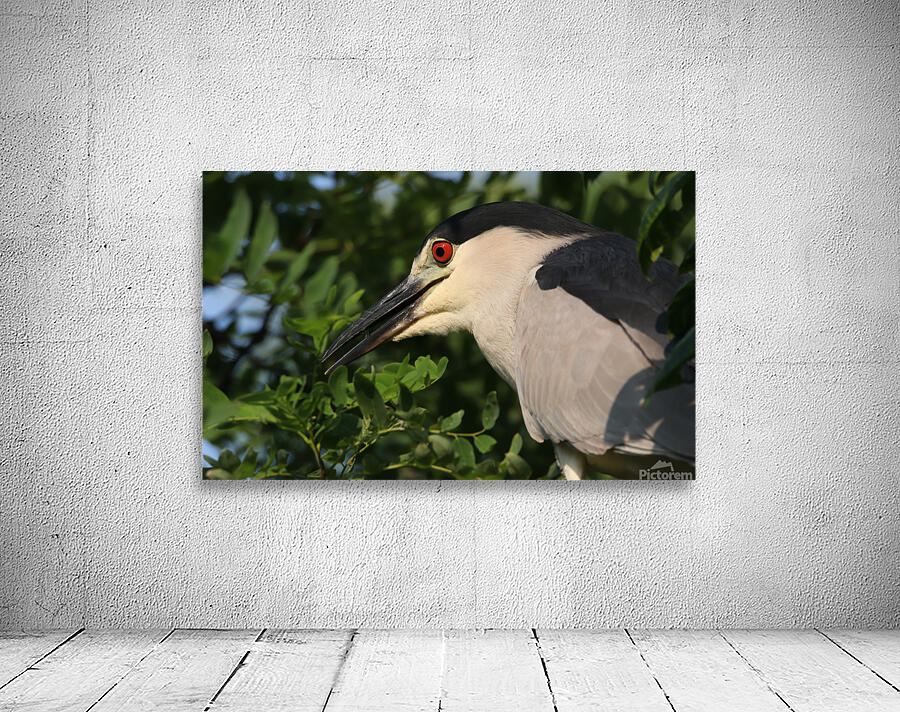 Love My Profile Wall Preview