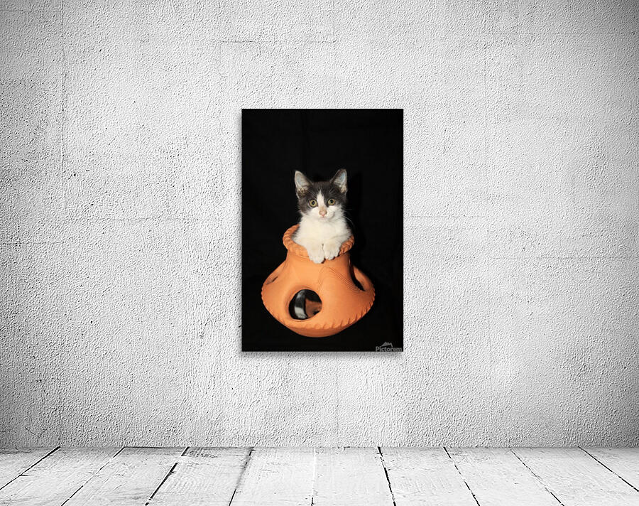 Lady Oscar Wall Preview