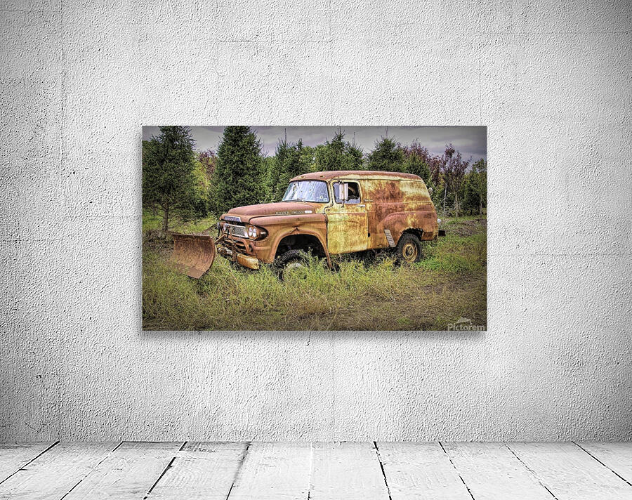 I Am Not Going Anywhere Wall Preview