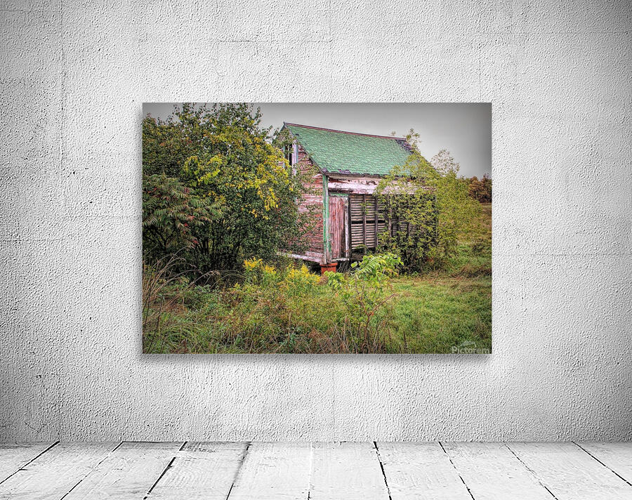 Forgotten Shed  Wall Preview