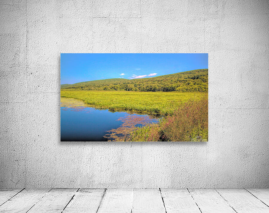 Basha Kill Wall Preview