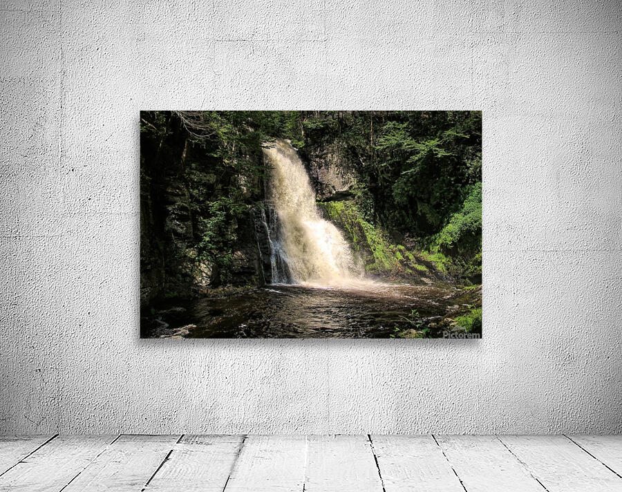 Bushkill Falls  Wall Preview