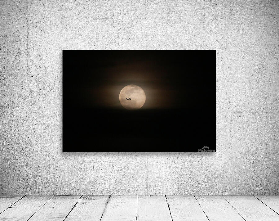 Fly Me To The Moon Wall Preview