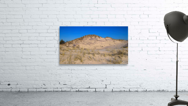 Dunes Reaching For The Sky Wall Preview