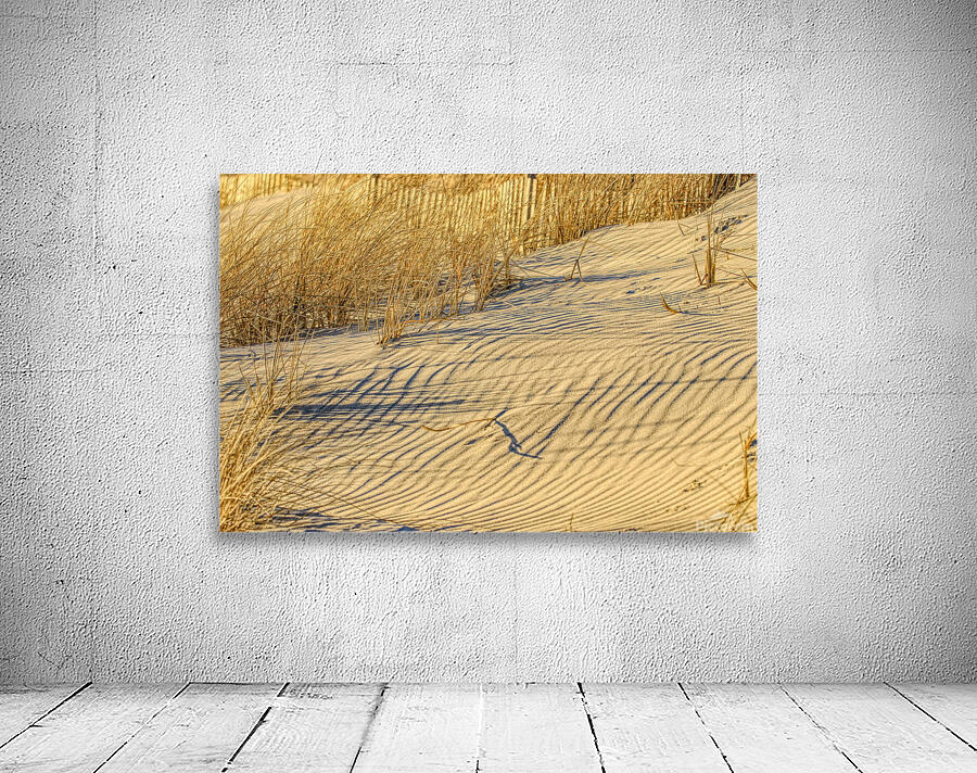 Golden Light On The Dune Wall Preview