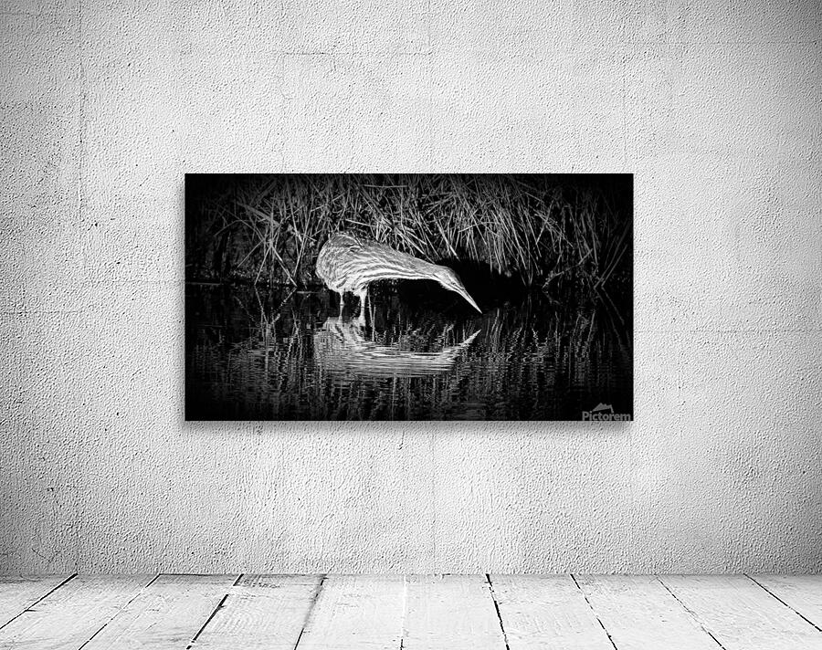 Bittern Reflection In Black and White Wall Preview