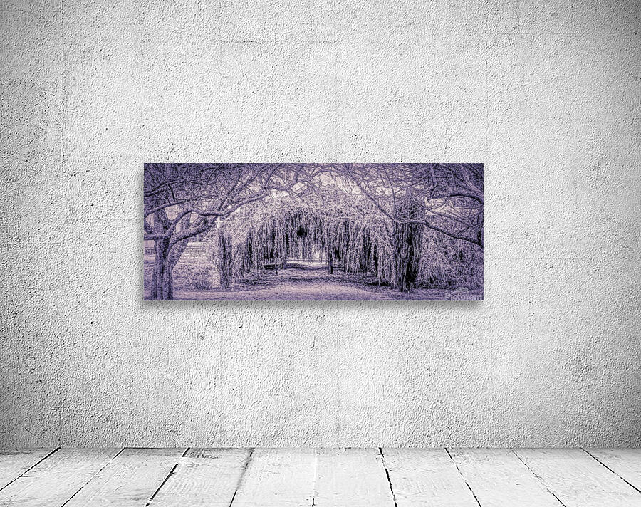 The Winter Tunnel Wall Preview