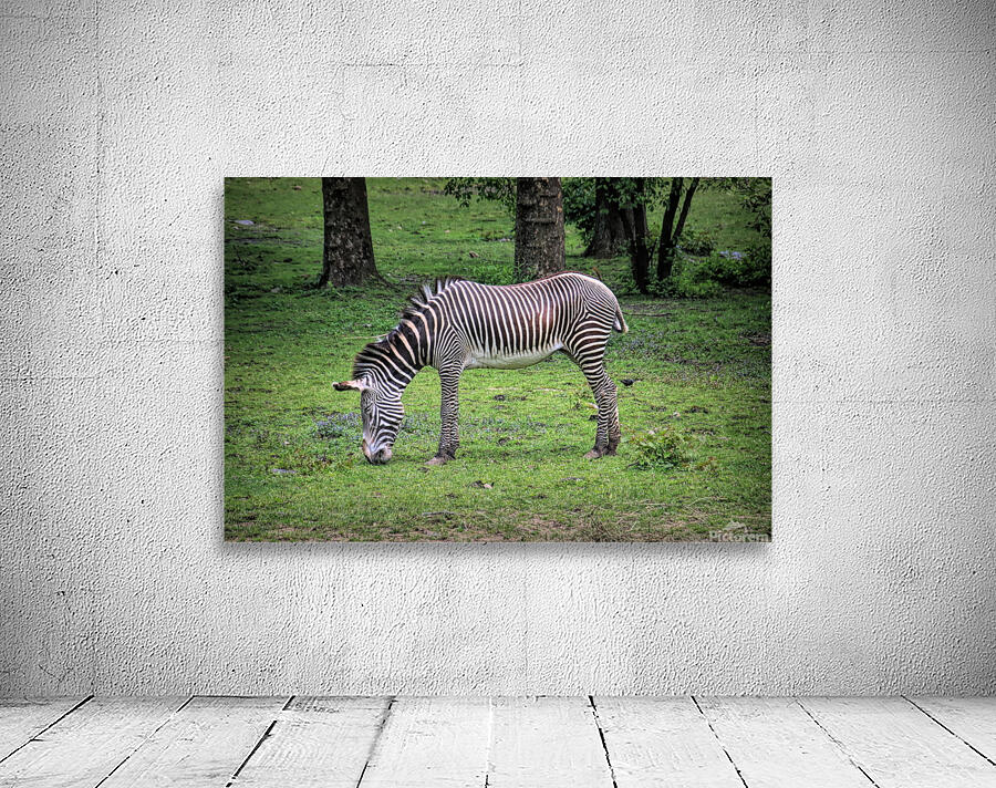 Sleeping While Standing Wall Preview