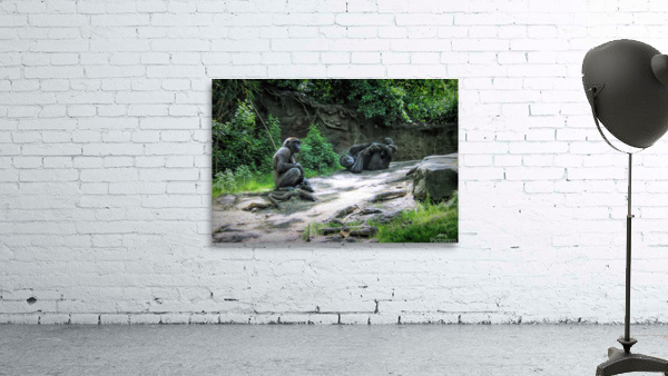 Monkeying Around Wall Preview